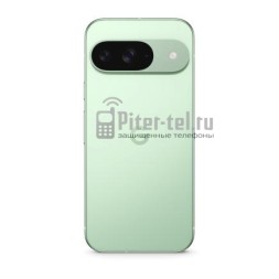 Смартфон Google Pixel 9 12/256Gb Global Wintergreen