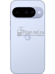 Смартфон Google Pixel 10 12/256Gb Global Frost